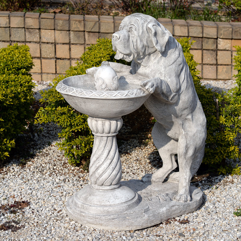 Fontaine de bain chien oiseau