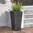 PLANTER-971135848