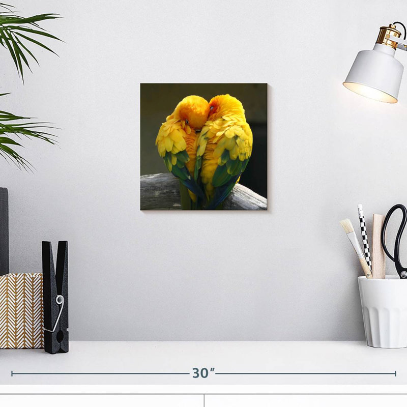 Brampt Lovebirds Snuggle, 10" H x 10" W