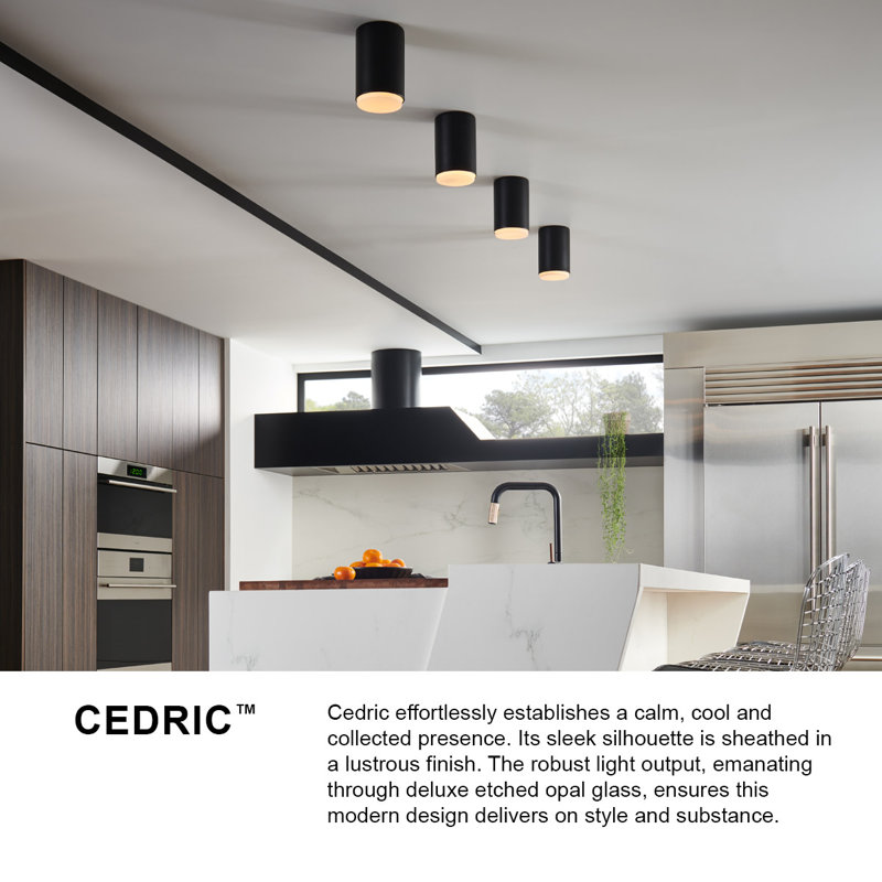 Cedric Extra Small Flush Mount, Black, Black