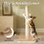 Grattoir pour chat en sisal Lesure avec 2 pompons et base moelleuse-132081722-132081723