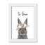 Le lapin est courage-48187586-48187581