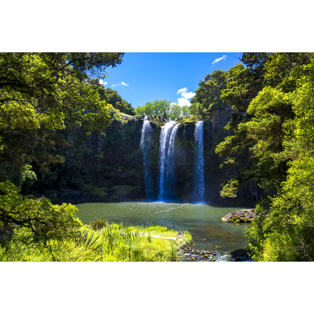 Whangarei Falls by Denizunlusu - Drucken