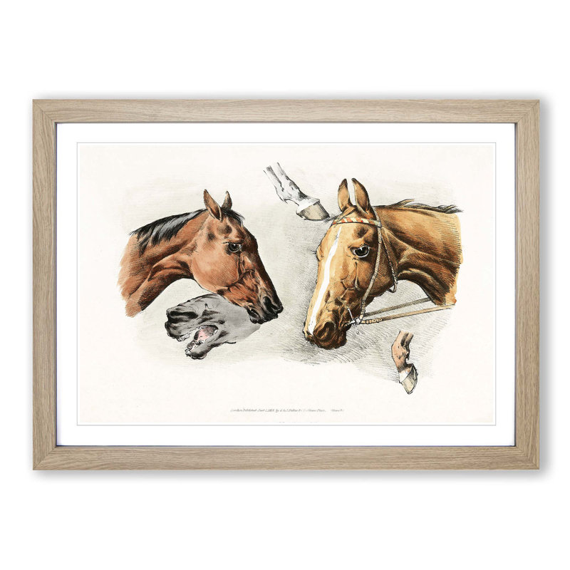 Horse Heads and Hoofs by Henry Alken - Picture Frame Painting Print on MDF, Oak Framed, 48cm H x 65cm W x 2cm D
