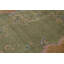 Rug & Kilim’S Chinese Art Deco Rug, Green With Cherry Blossom Florals-1687859037