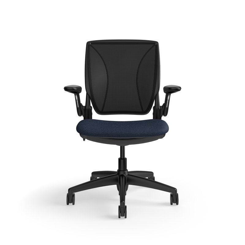 World LM, Ergonomic Task Chair with Poppy Seed Backrest, and  Autumn Upholstered Seat, Black, Slate Blue Fabric, Black Mesh