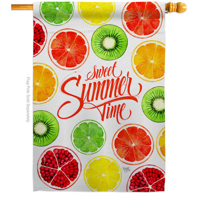 Double Sided 40 in. H x 28 in. W Polyester House Flag