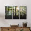 Lumière et arbres - ensemble de 3 photographies sur toile tendue-484443729