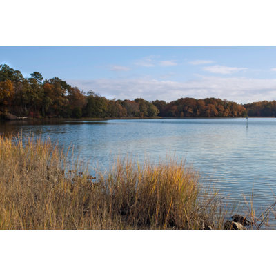 Chesapeake Bay with Trees by Okrad