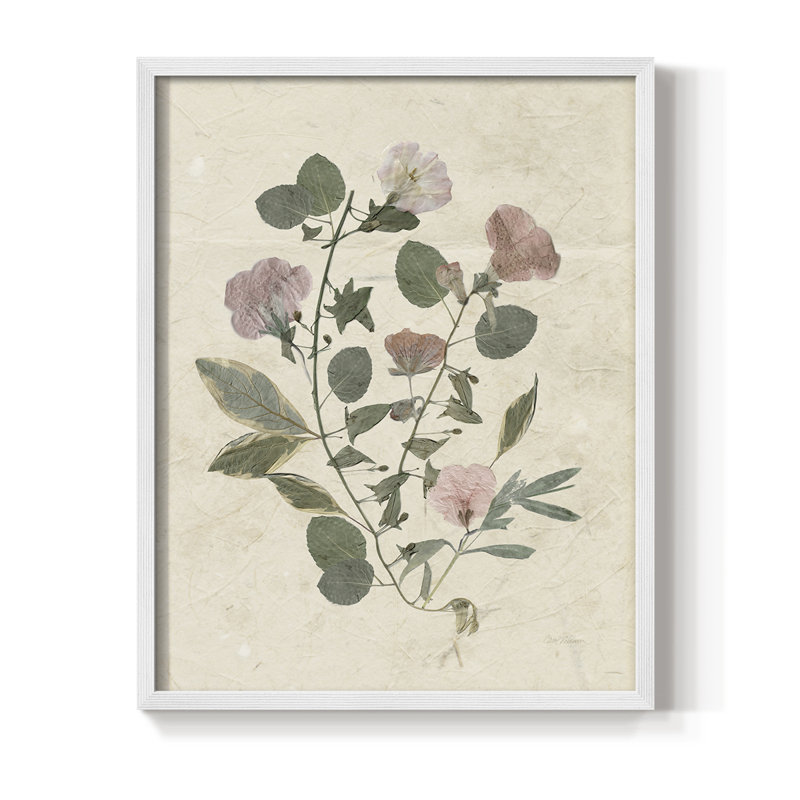 Pressed Arrangement I, reproduction encadrée - bois massif, H 30 po x l 24 po, Blanc