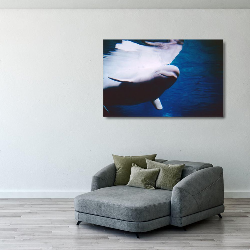 Baleines bélugas nageant sous l'eau, H 26 po x l 40 po