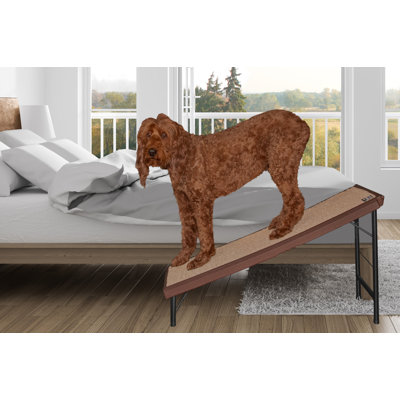 Rampe pour animaux 23,5 po