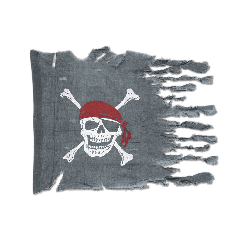 Double Sided 29'' H x 40'' W Fabric House Flag