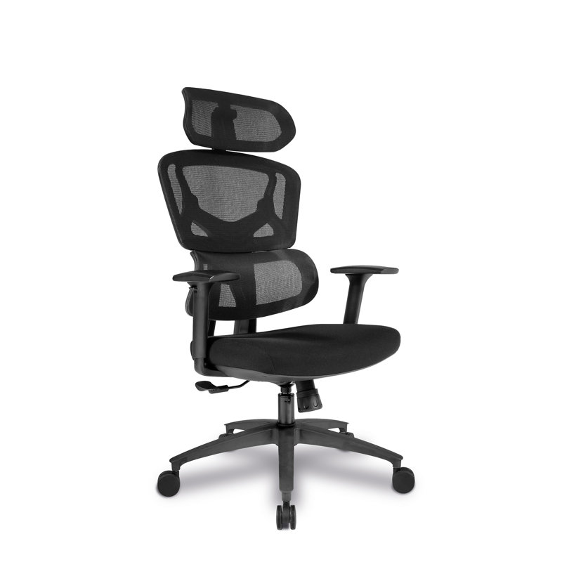 Dansfield Mesh Office Chair