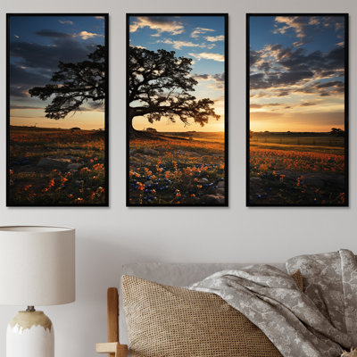Orange Bonnets Field With Sunset - Blue Bonnets Canvas Wall Art Set