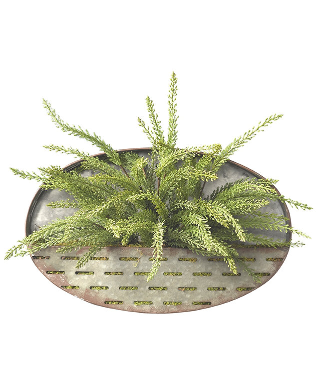 Plante suspendue à tringle heather