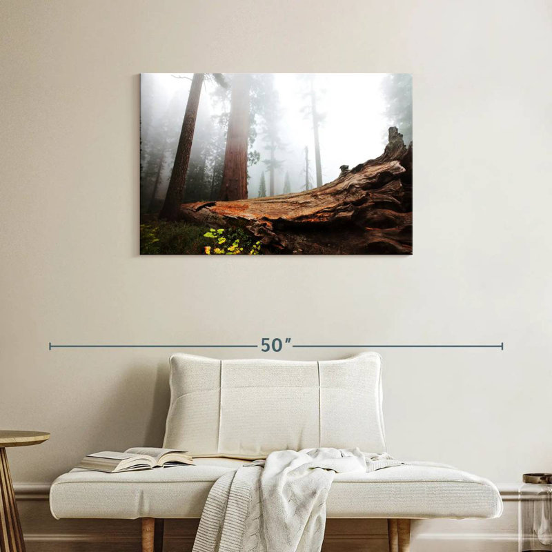 Harnek Fallen Sequoia Tree, 24'' H x 36'' W