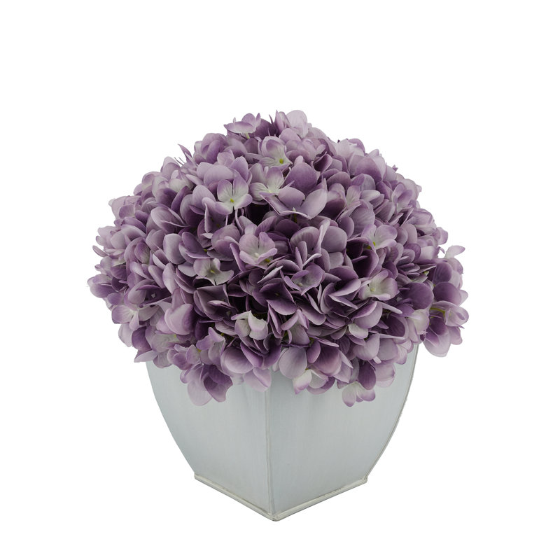 Arrangements floraux d'hortensias en pot, Lavande