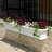 Anand Resin Window Box with Water Reservoir-1789414770-1789422209