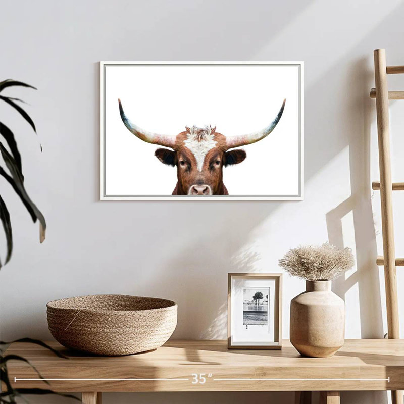 Peeking Long Horn, Floating Frame White, 37" X 25"