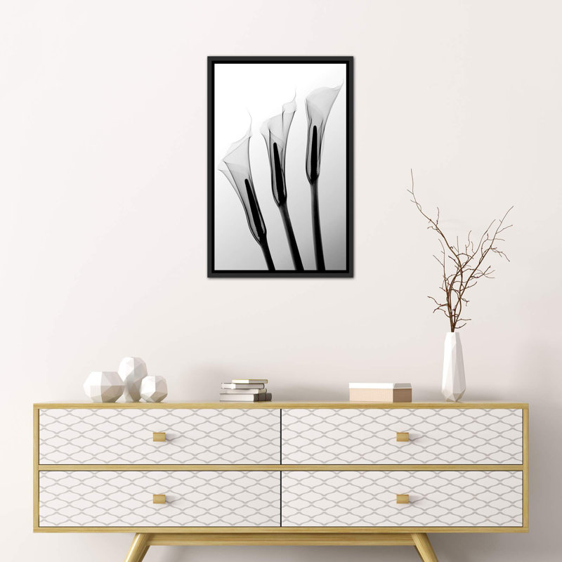 Callas I par Hong Pham - reproduction de photo, Toile avec cadre noir, H 26 po x l 18 po x 1,5 po