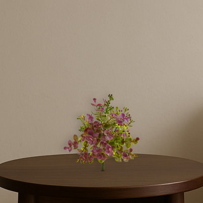 Eucalyptus et Sedum, plante artificielle