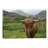 Scottish Highland Cattle III by Alan Majchrowicz - Wrapped Canvas Print-654242957