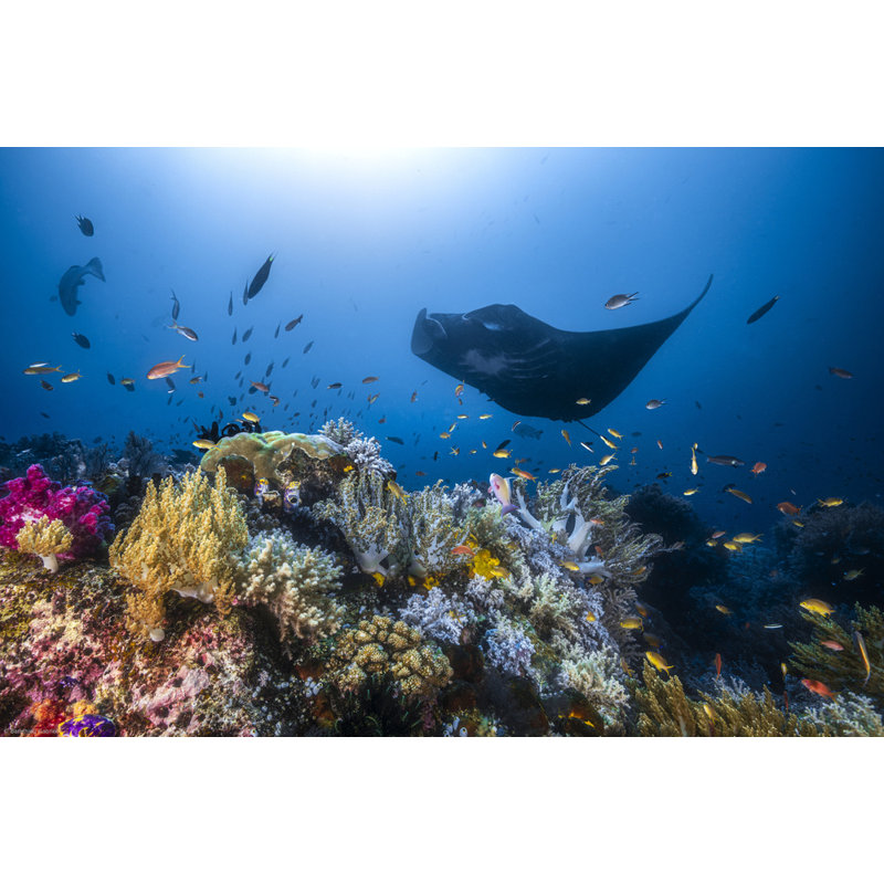 Wrapped Canvas Print, 50.8 cm H x 76.2 cm W