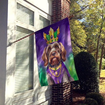 Drapeau de jardin King of Mardi Gras Griffon
