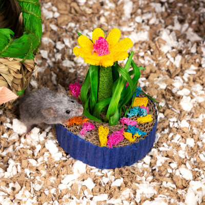 Succulent MiniGarden, petit animal