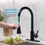 Interbath Pull Down Kitchen Faucet