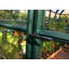 Rion Eco Grow 6ft W x 12ft D Greenhouse