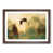 Walnut Framed