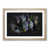 Oak Framed selected