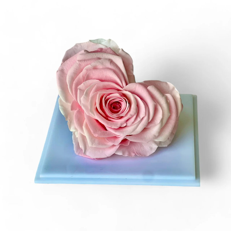 Arrangement de roses en boîte