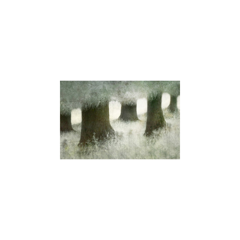 Wrapped Canvas Print, 50.8cm H x 76.2cm W