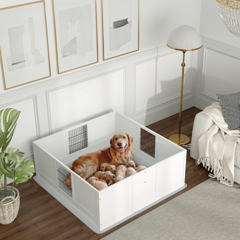 Boîte de mise à l'eau pour chien avec coussin imperméable pour animaux