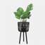 S / 3 POT DE BAMBOU 11/13/15 ", NOIR
