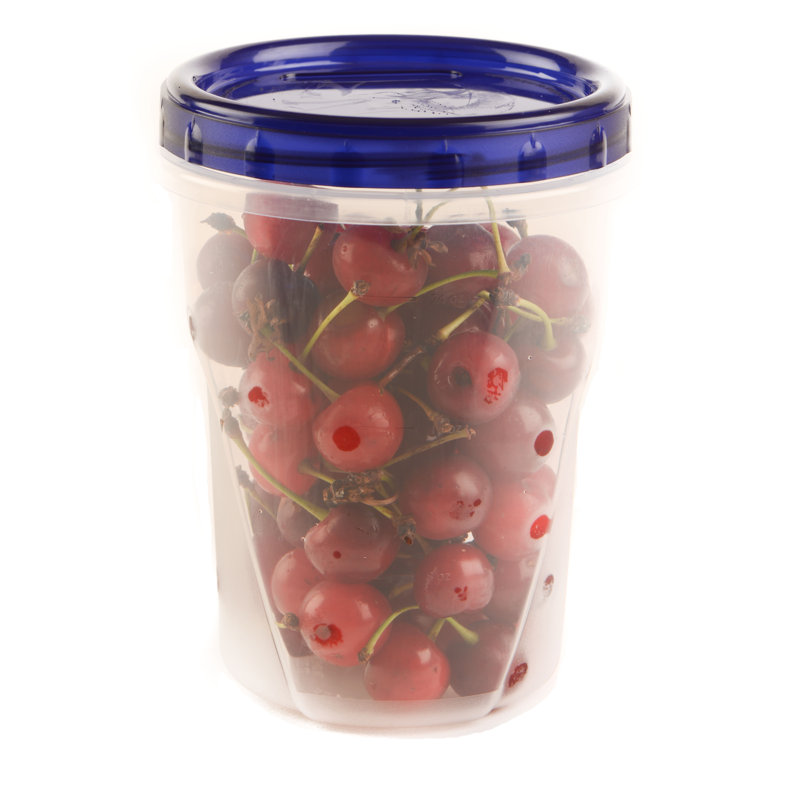 Alixandrea 32oz. Food Storage Container