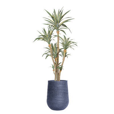 94.08'' Faux Agave Tree in Planter
