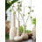 Natividad Handmade Wood Table Vase