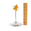 Candlestick