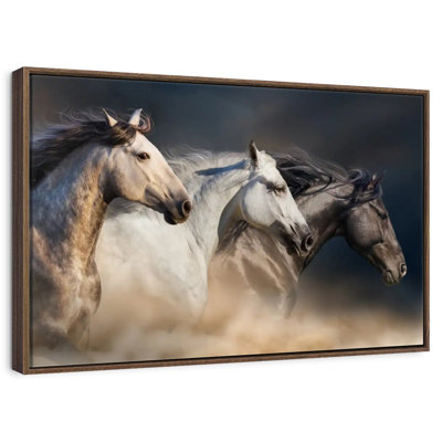 Chevaux magnifiques