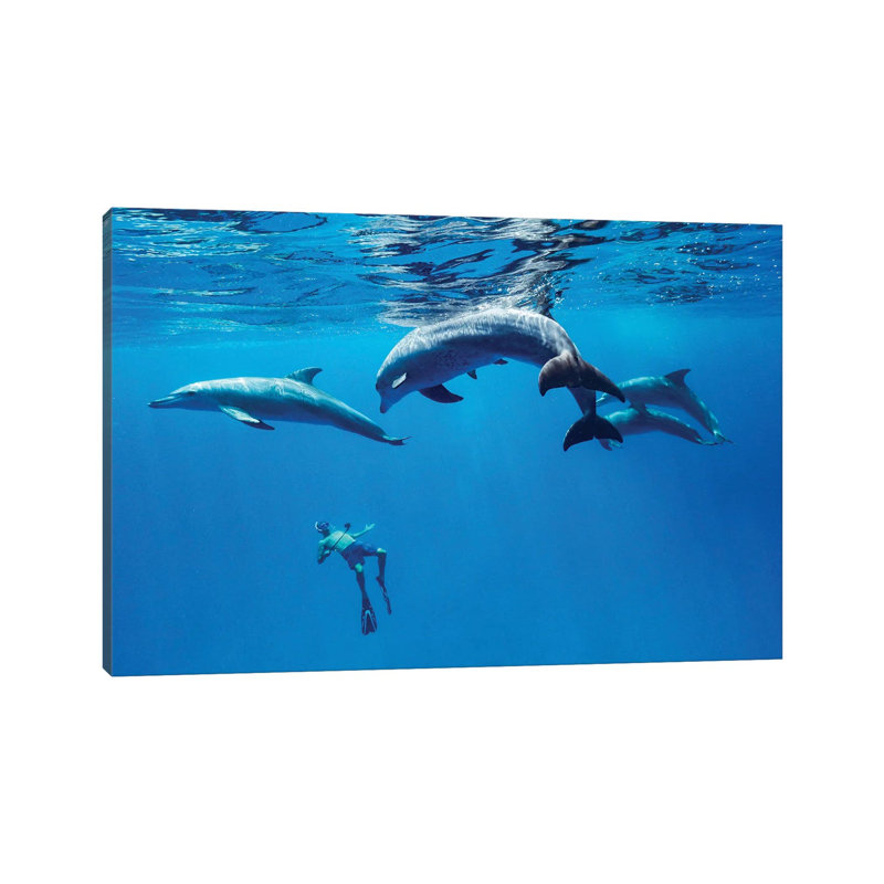 Crazy Morning by Serge Melesan - Wrapped Canvas Print, 20.32 cm H x 30.48 cm W