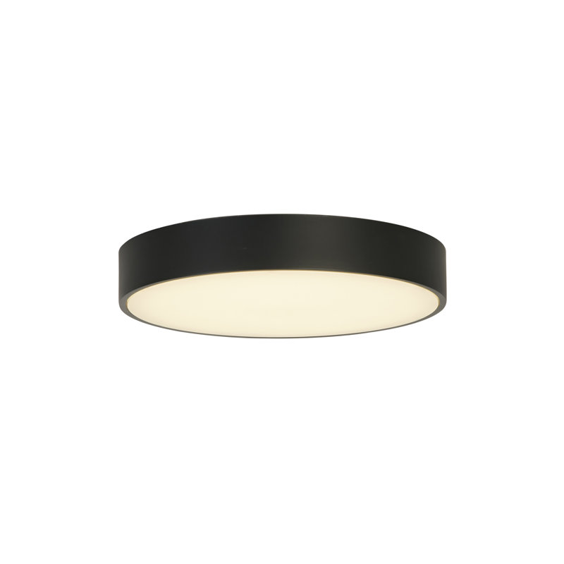 Akansha Plastic LED Flush Mount, Black