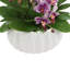 Purple Orchids Arranged in Decorative Ceramic Pot-772925967
