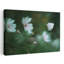 Doux cosmos blanc délicat, rêve, fleur éthérée, art mural naturel-129146299