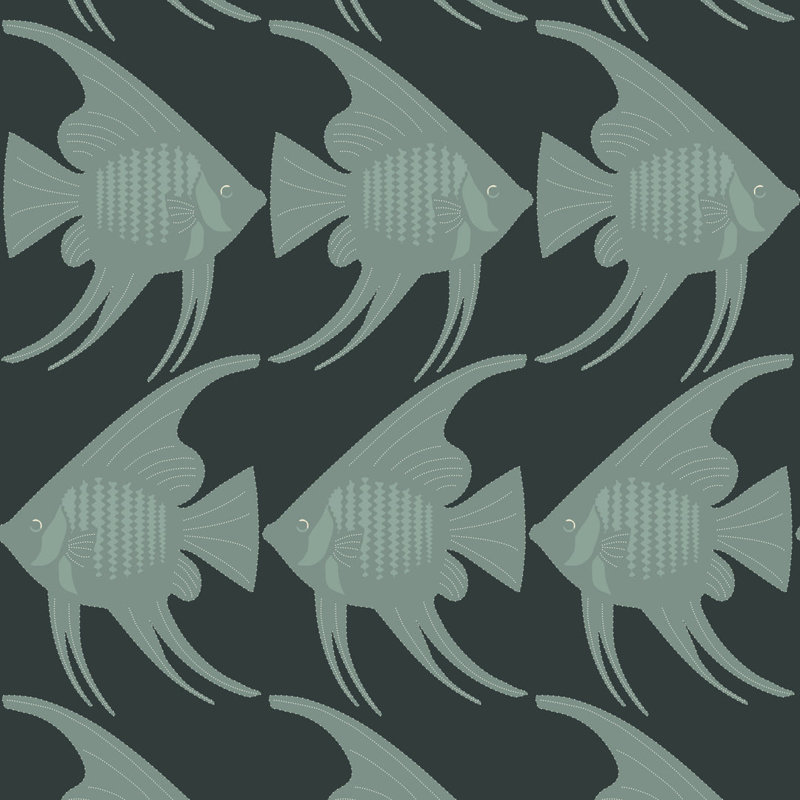 Angel Fish - Black Wallpaper