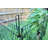 49.2In H Multi-Purpose Fence Latch