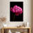 Magenta Peony-1548539335